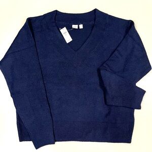 V-Neck Navy Sweater